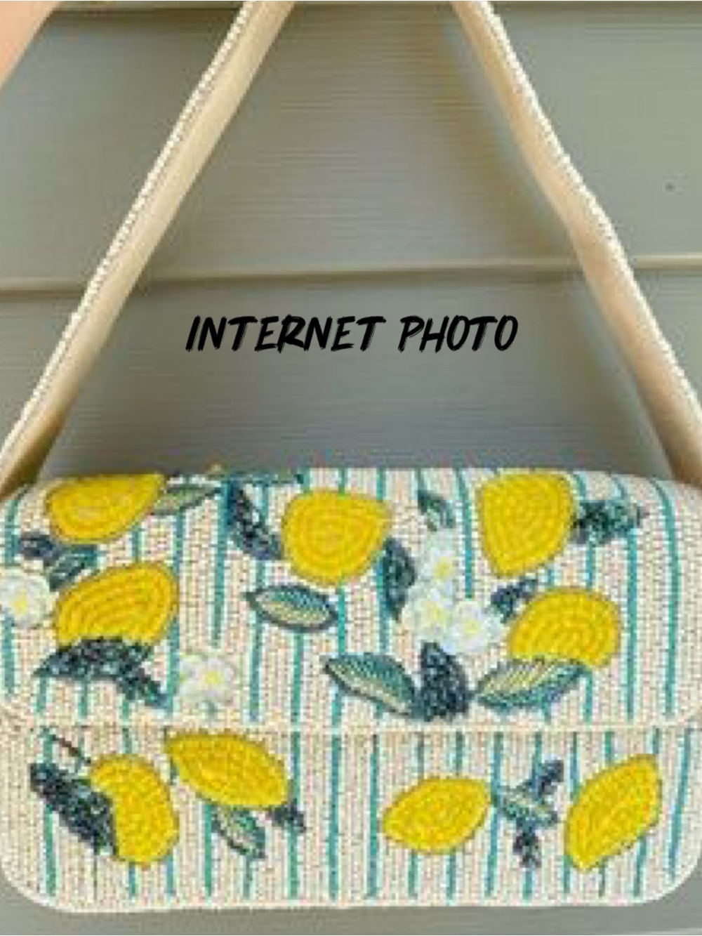 🍋 TikTok Viral Beaded Bag Lemons Made in India 🍋 - Picture 16 of 16